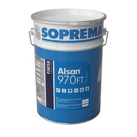 ALSAN PMMA 970 FT - 10 kg